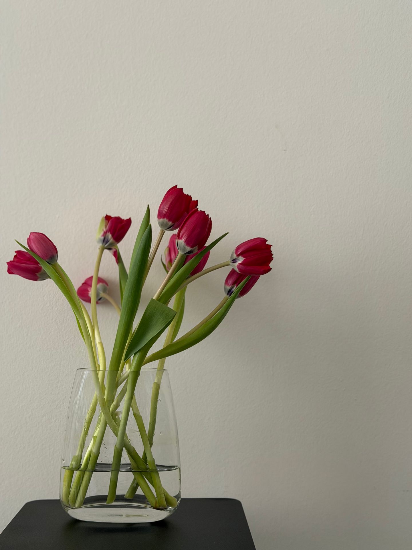Un mazzo di tulipani rossi in un vaso di vetro, su un mobile scuro, nello studio.